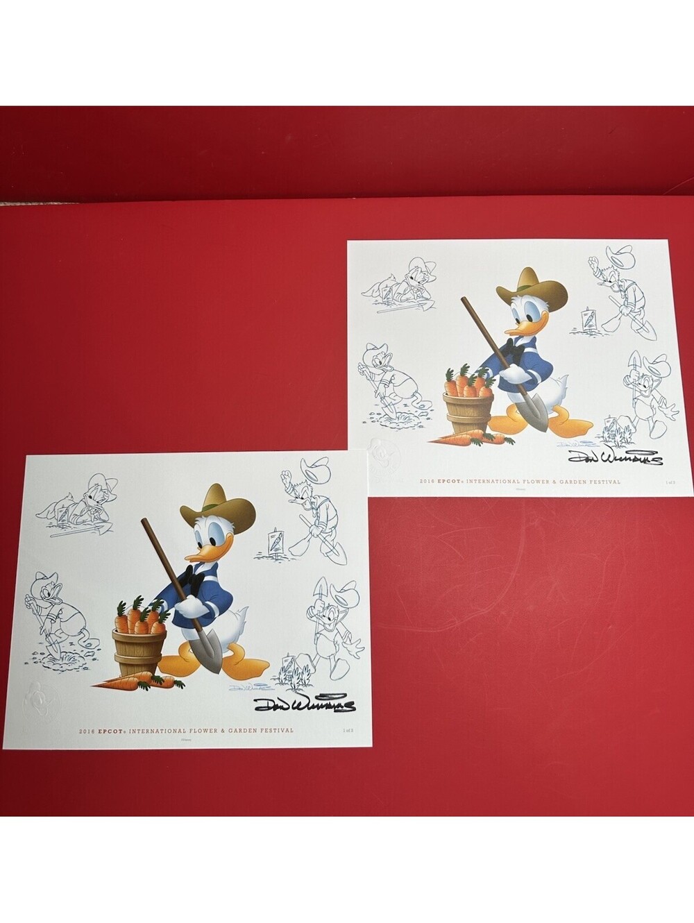 Lot Donald Duck 2016 EPCOT International Flower Garden Festiva Lithograph